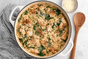 Easy Chicken Orzo Recipe